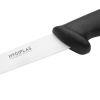 Hygiplas Fillet Knife Black 15cm