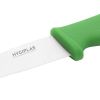 Hygiplas Serrated Vegetable Knife Green 10cm