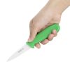 Hygiplas Paring Knife Green 9cm