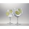 Schott Zwiesel Bar Special Spanish Gin & Tonic Glasses (Pack of 6)