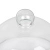 Glass Cloche 210mm