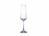 Corvus Champagne Flute 16cl/5.6oz - Pack of 6