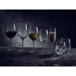 FT Syrah Wine Glass 47cl/16.5oz - Pack of 6