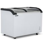 Blizzard Curved Glass Lid Freezer 320L