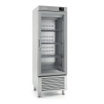 Infrico Single Glass Door Freezer 500L