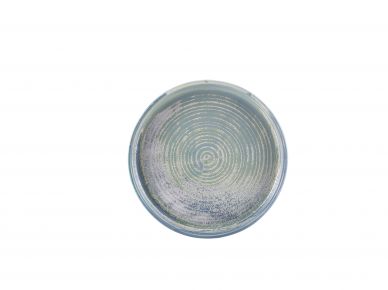 Terra Porcelain Seafoam Presentation Plate 20.5cm - Pack of 6