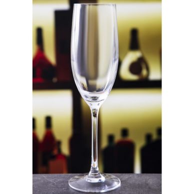 Chef & Sommelier Cabernet Tulip Champagne Flutes 240ml (Pack of 24)